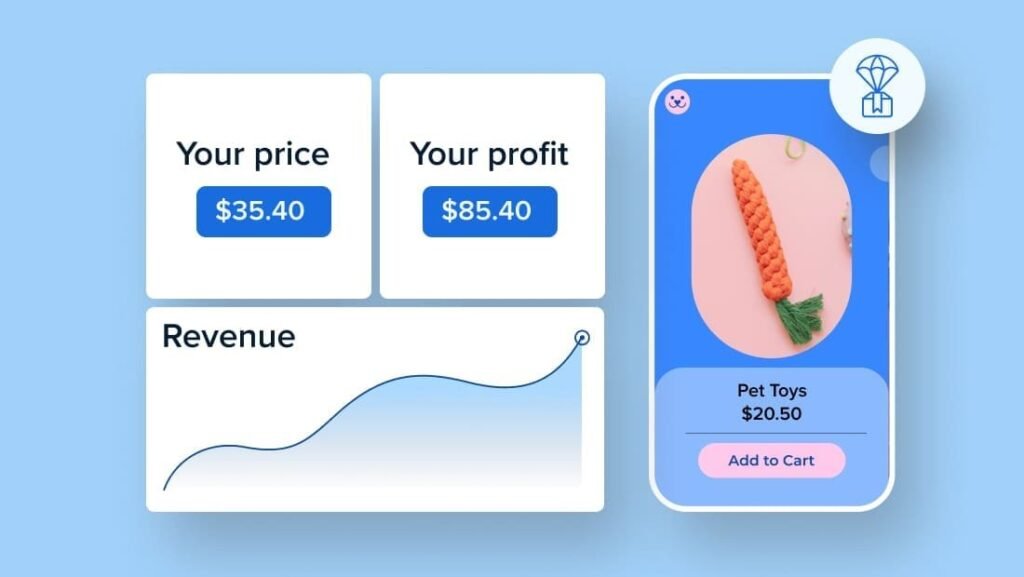 Dropshipping Business Guide for Beginners